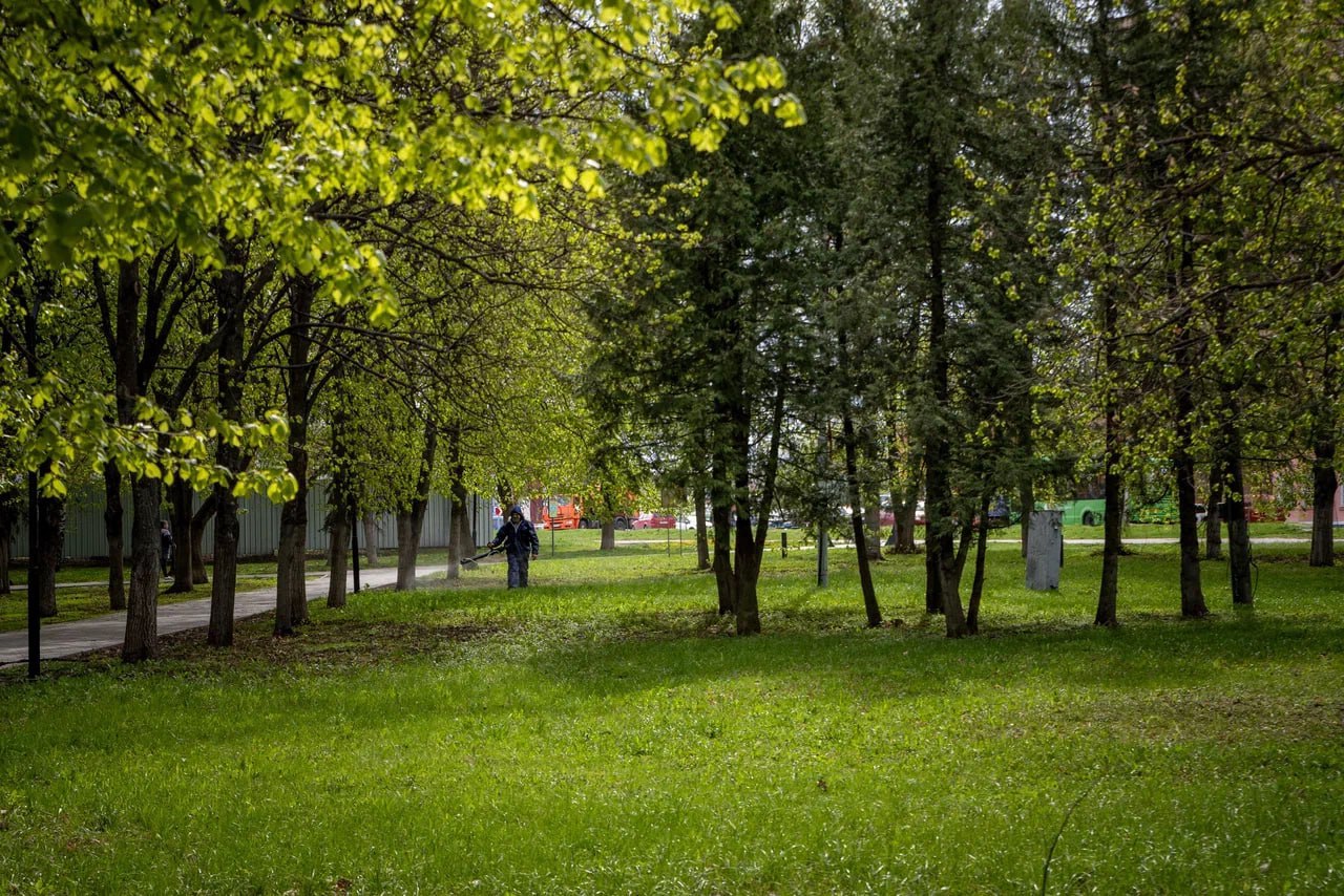 В Курске на выходных в парках и скверах проведут акарицидную обработку