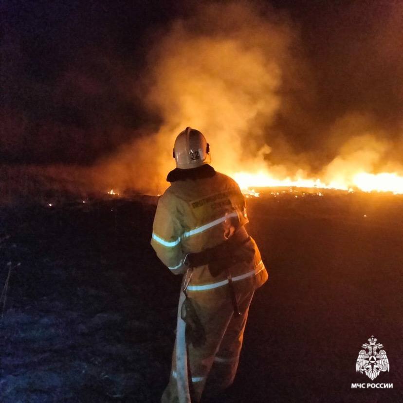 В Курской области за прошедший день девять раз горела сухая трава