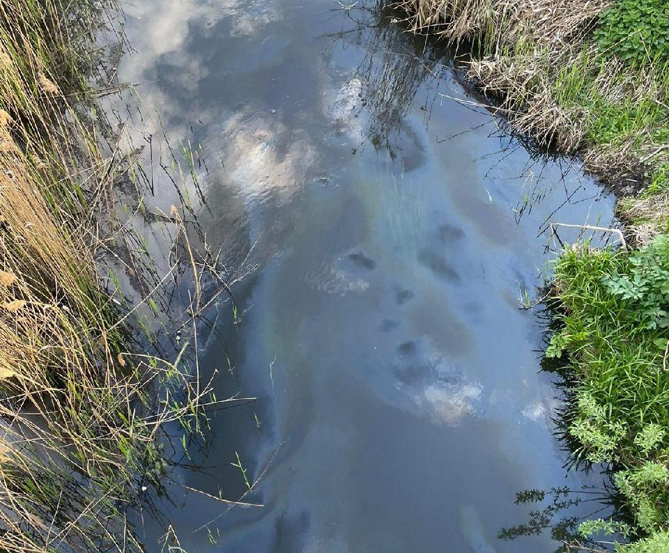 В Курске специалисты выясняют причину загрязнения реки Тускарь