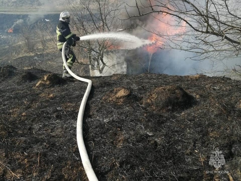 В Курской области в течение суток 100 раз горела сухая трава